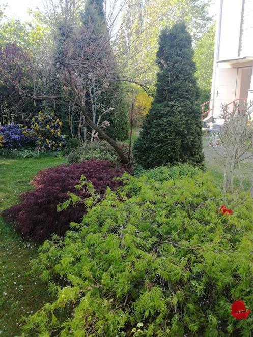 Hradiska Apartman Jablonné nad Orlicí Kültér fotó